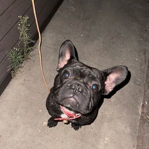 Meet your Posher, Alejandro